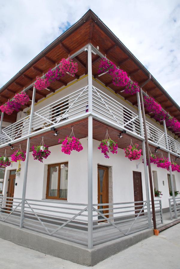 Vaias Aparts Târgu Neamț Exterior photo