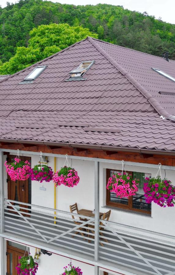 Vaias Aparts Târgu Neamț Exterior photo